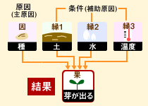 因果とは